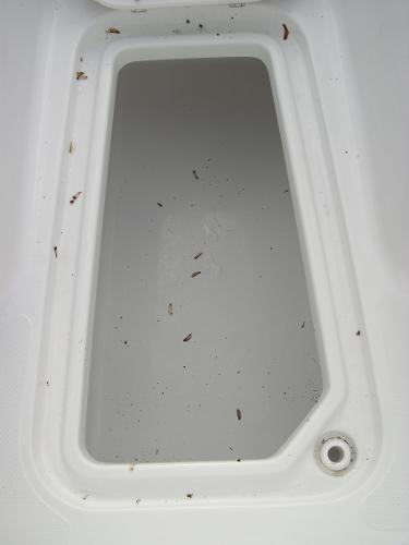 Gamefish 27 Forward Seat Photo 11
