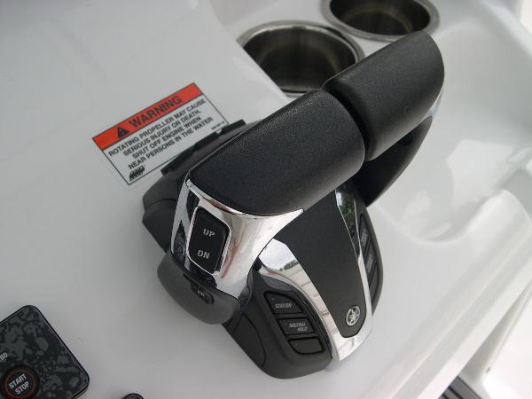 Gamefish 25 Photo 29