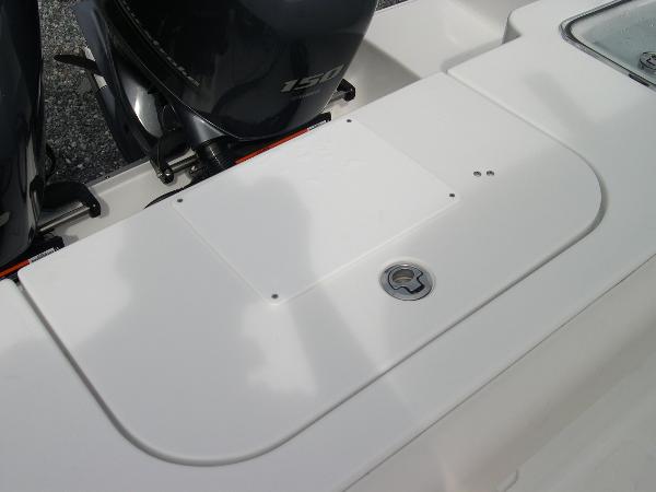 Gamefish 25 Photo 46