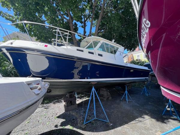 31' Albin, Listing Number 100916162, - Photo No. 5