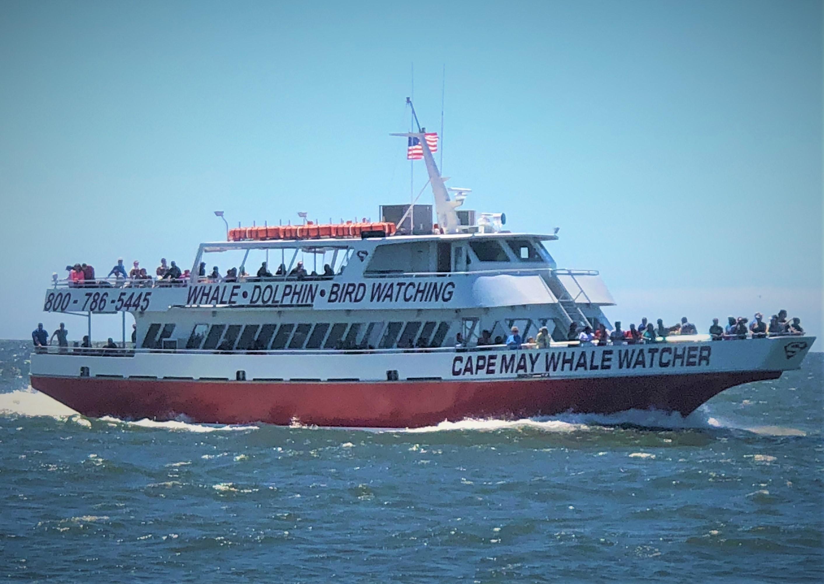 1986 Aluminum boats inc | whale watch dinner ferry