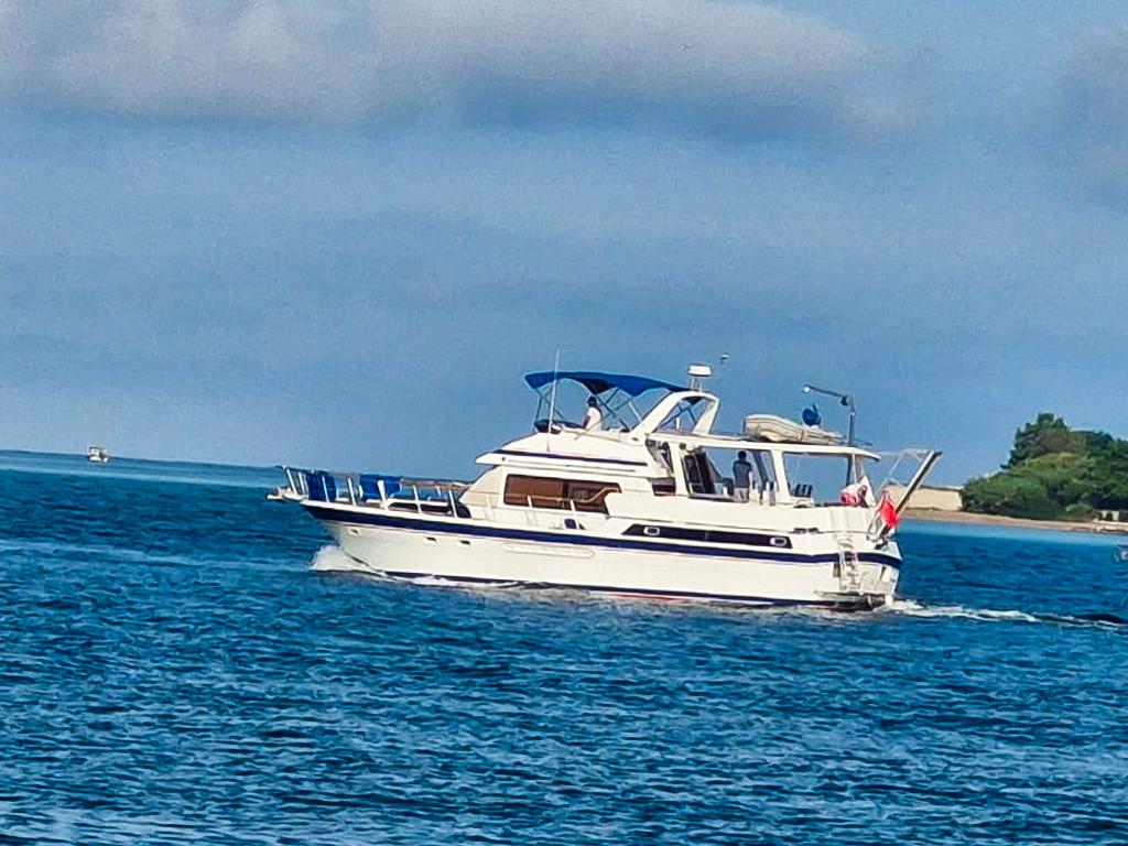 yacht-image