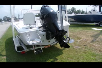 Sea-pro 199 video