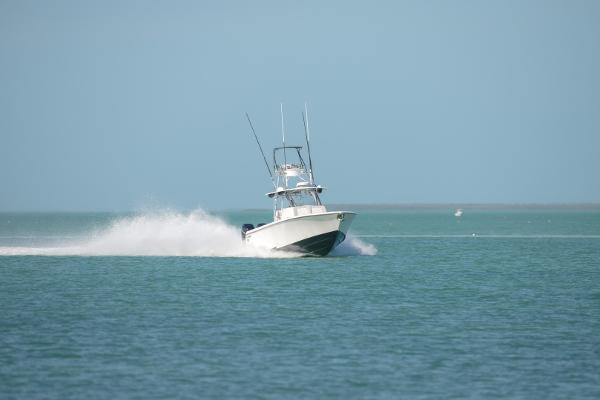 39' Contender, Listing Number 100812550, - Photo No. 18