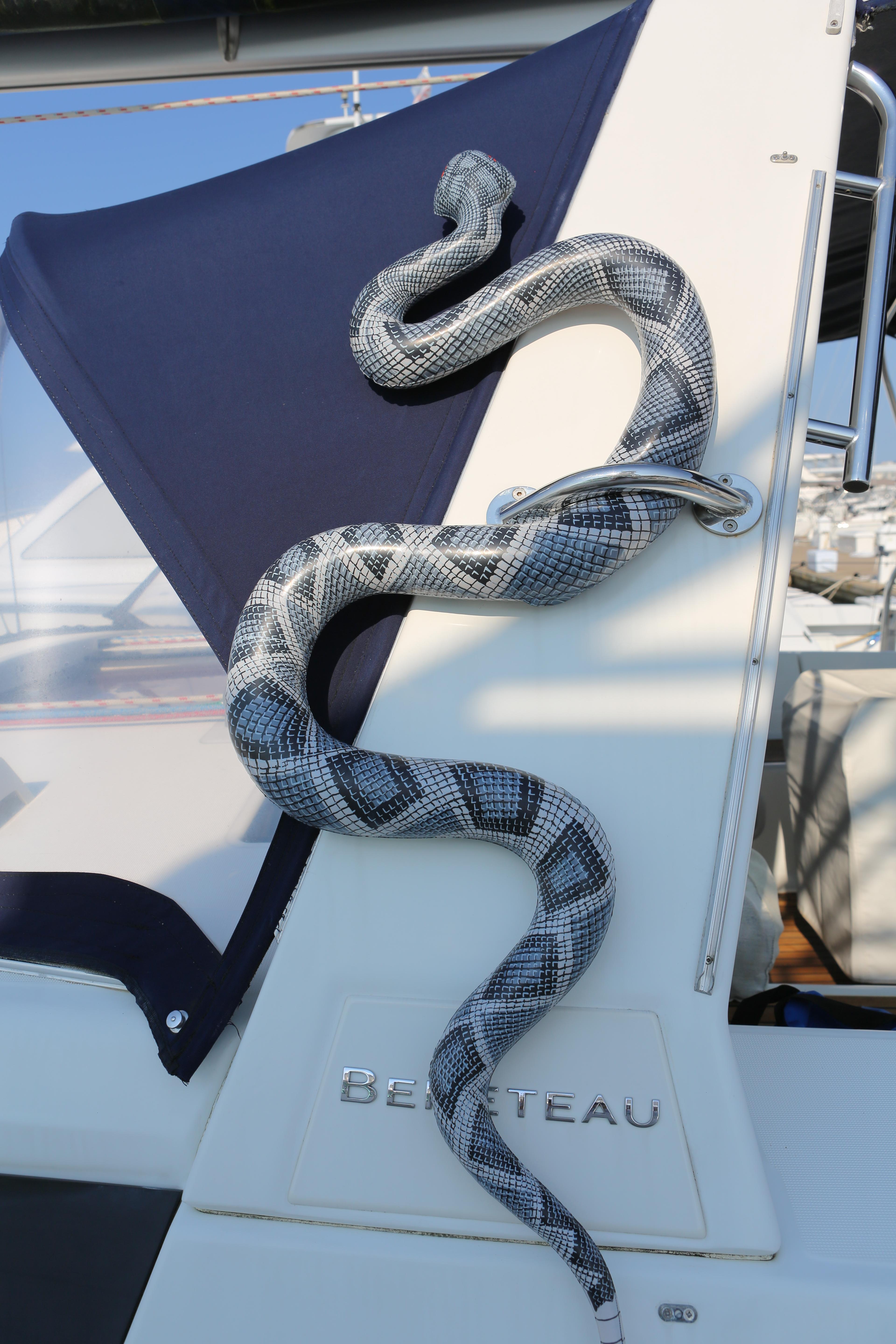 Yacht Photos Pics