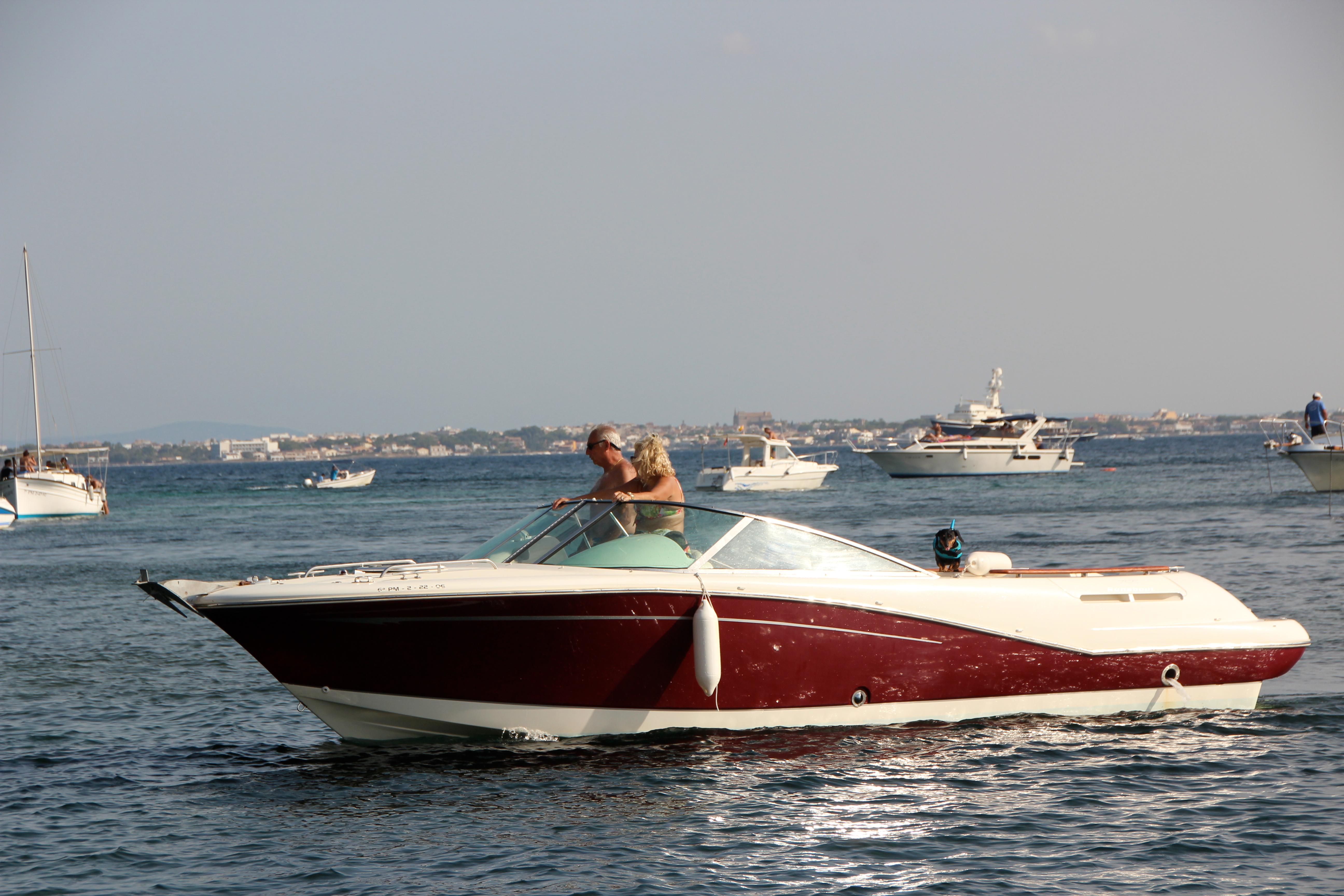 Jeanneau Runabout 755 (De ocasión)