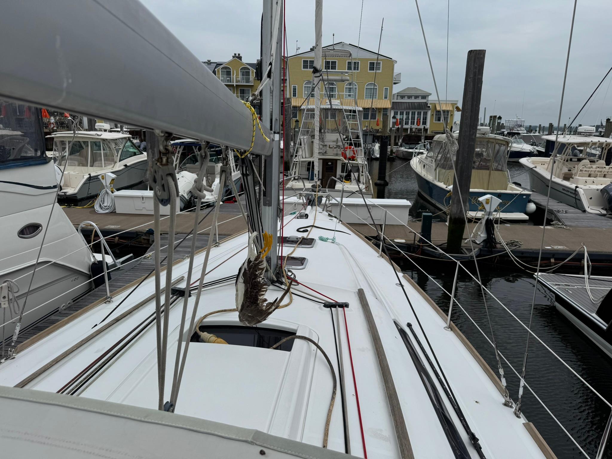Yacht Photos Pics