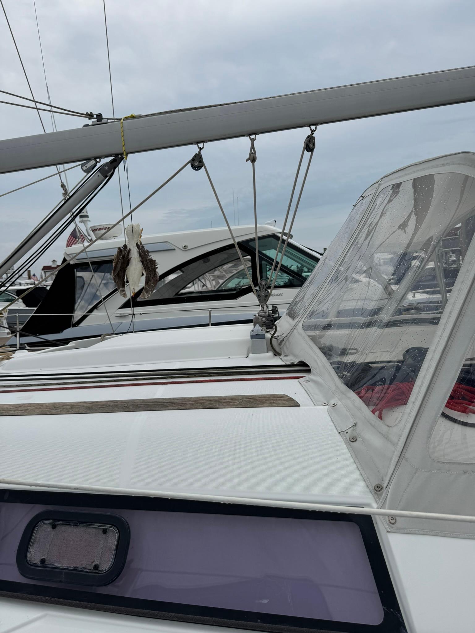 Yacht Photos Pics