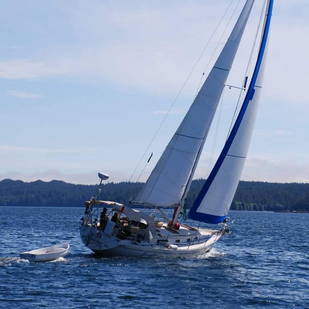 Image of 1979 Irwin Citation 39
