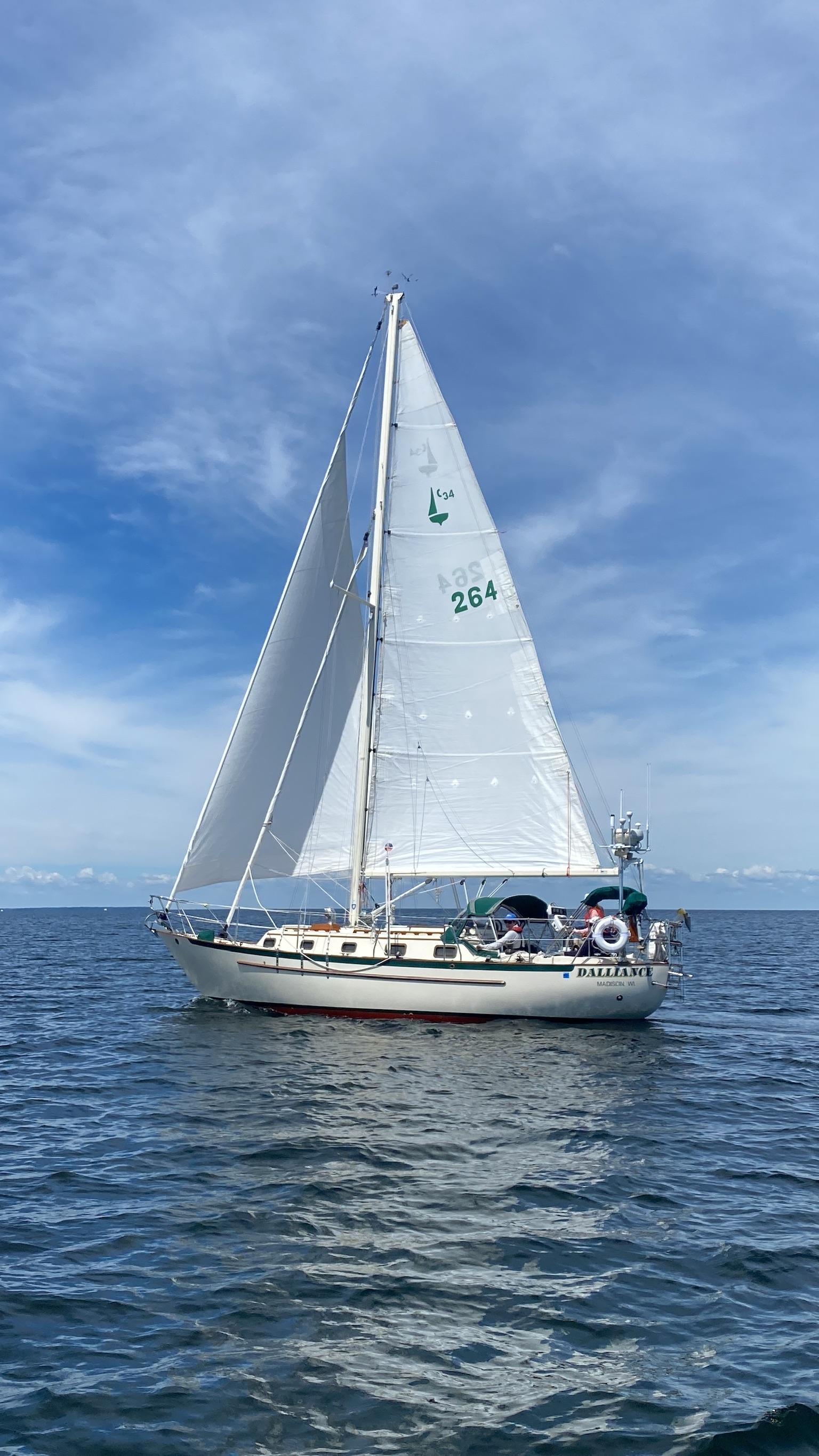 DEREKWILSON SMALLCONSTRUCTED VESSELS最終価格 シンワ デジタルシックネスキャリパー73746 「暮らし館」イマジネット