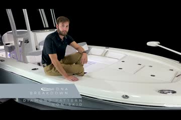 Robalo 246 video