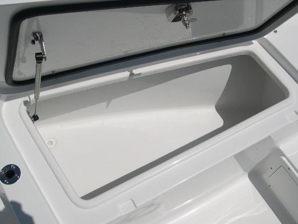 Gamefish 25 Photo 13
