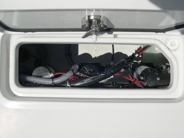 Gamefish 25 Photo 43