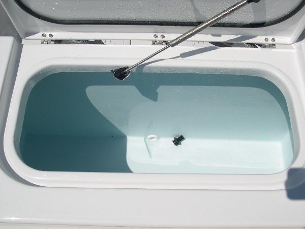 Gamefish 25 Photo 45
