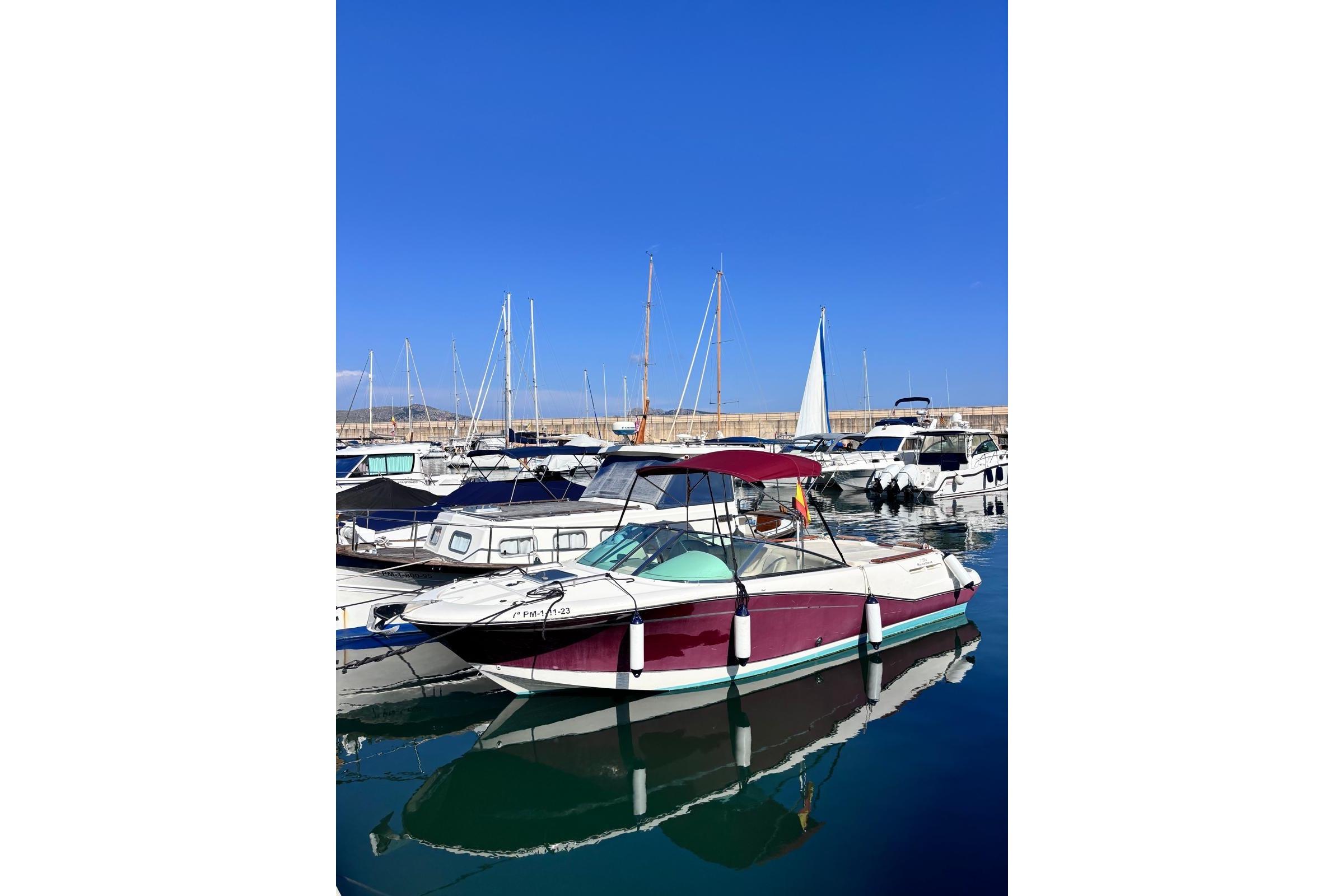 Jeanneau Runabout 755 (De ocasión)