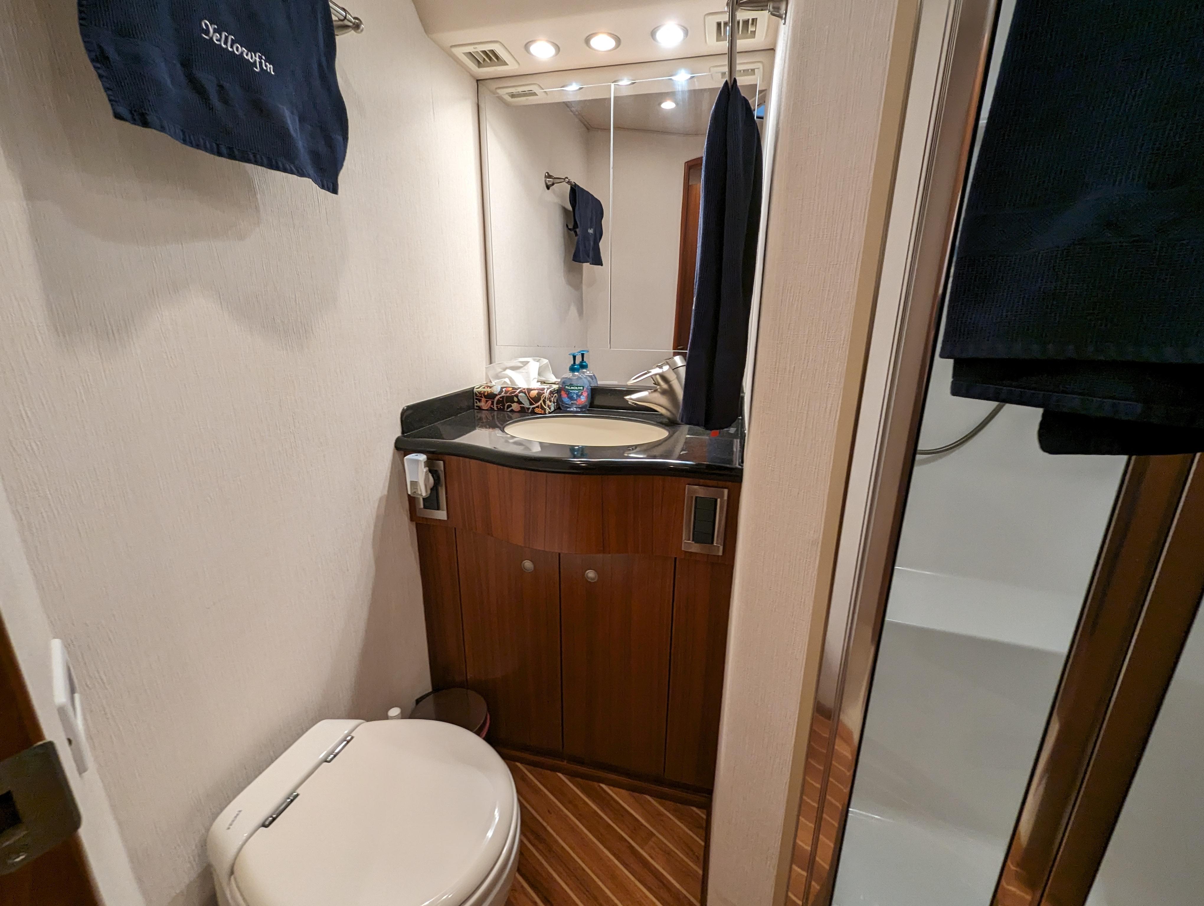Viking 54 Convertible guest bathroom