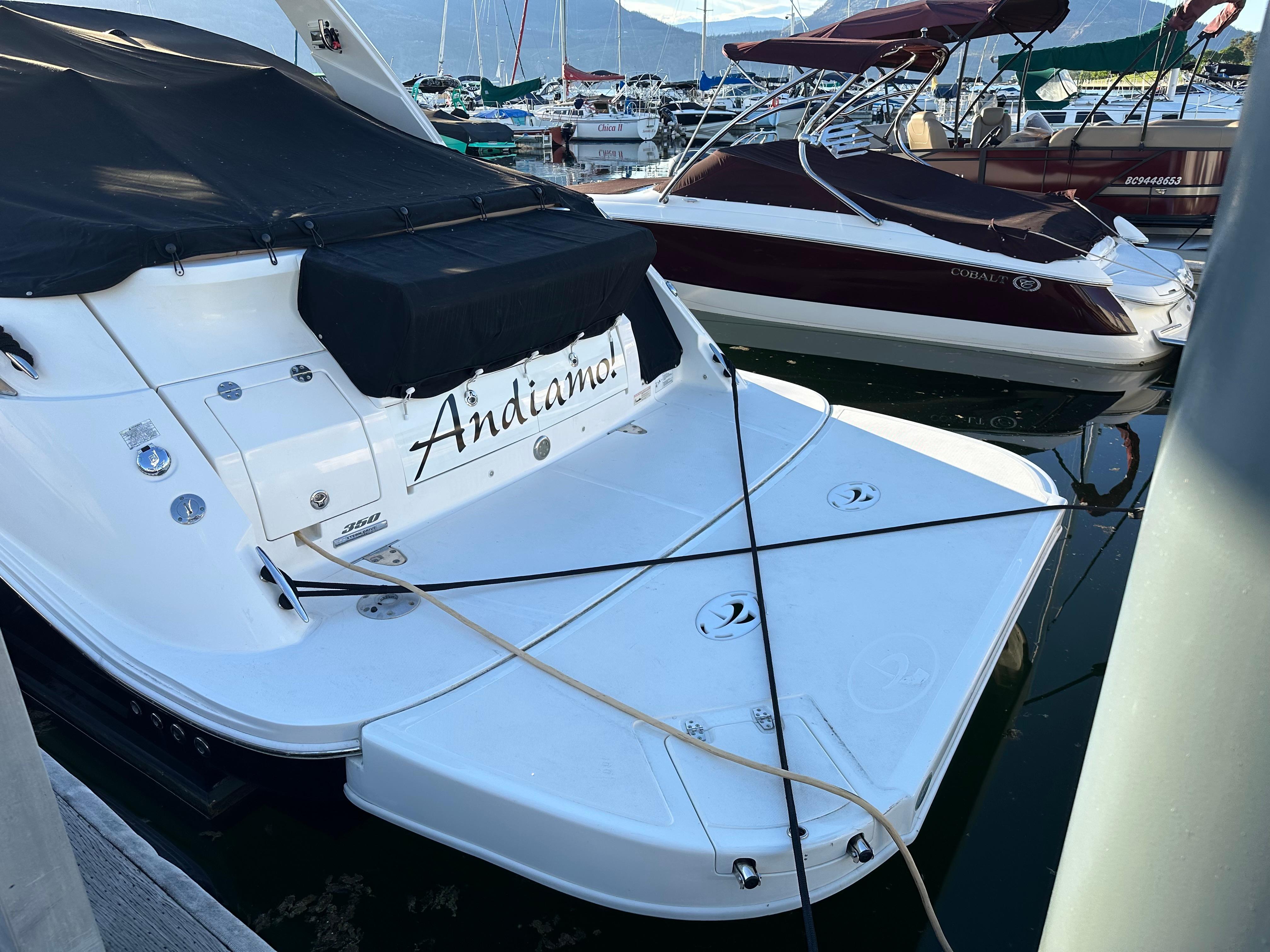 2016-sea-ray-350-sundancer-power-9568739-20250530093622683-1_XLARGE