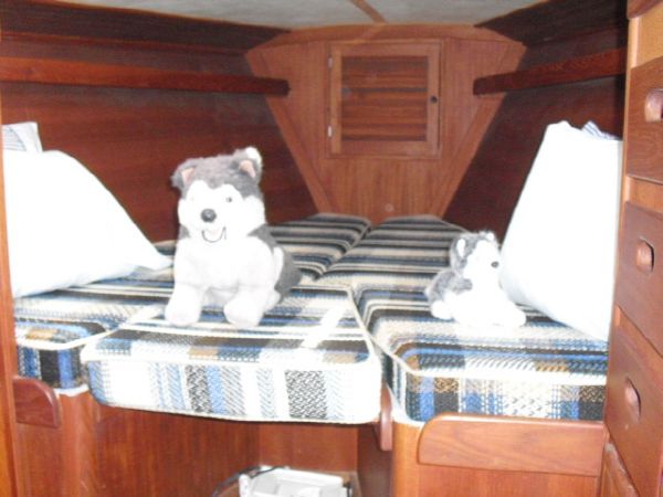 Image [29] of 1989 Catalina 30 MKII