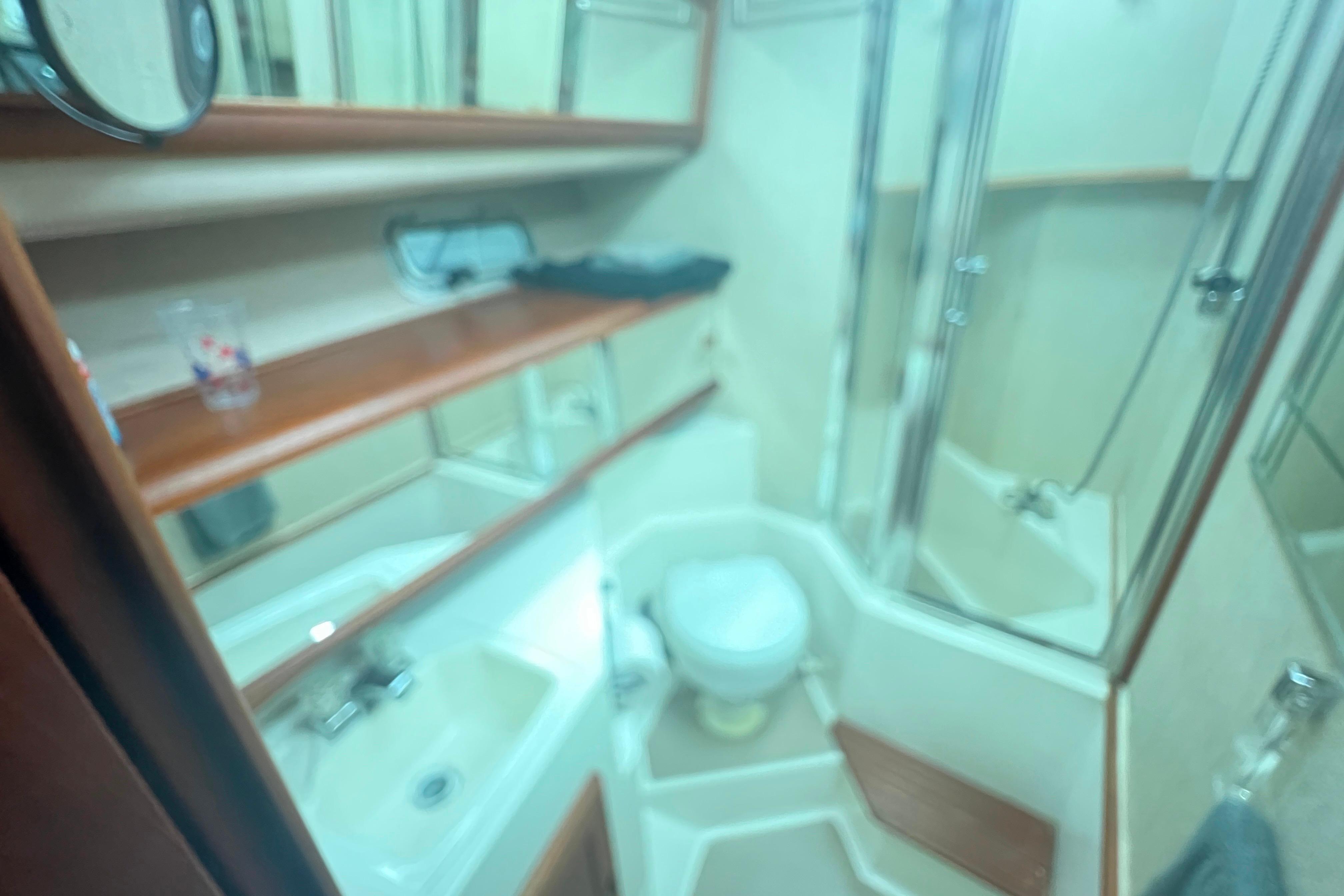 1986 Bayliner 4550 Motoryacht bathroom with sink, toilet, and shower.
