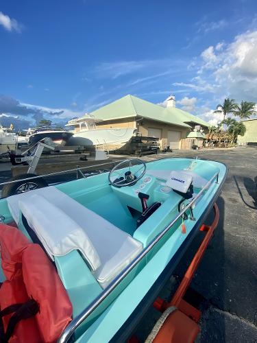 15' Boston Whaler, Listing Number 100878611, Image No. 2