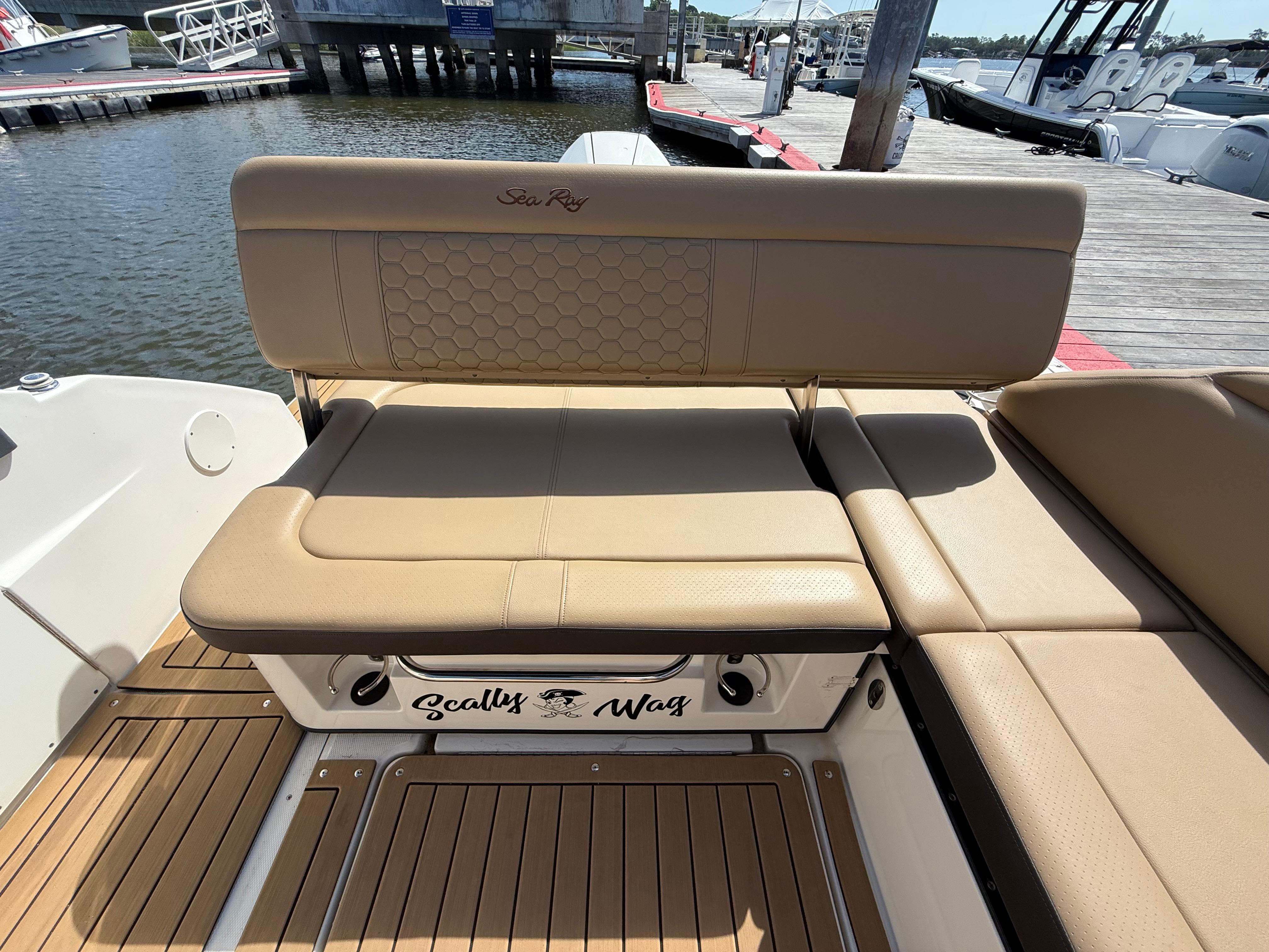 2020-sea-ray-sdx-250-ob-power-9840945-20250616141055583-1_XLARGE
