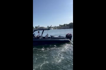 Skipper-BSK 38 video