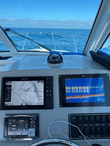 31' Boston Whaler, Listing Number 100917660, - Photo No. 6