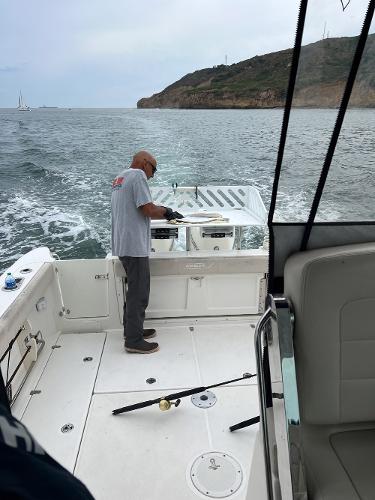 31' Boston Whaler, Listing Number 100917660, - Photo No. 14