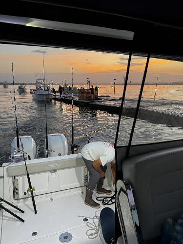 31' Boston Whaler, Listing Number 100917660, - Photo No. 17