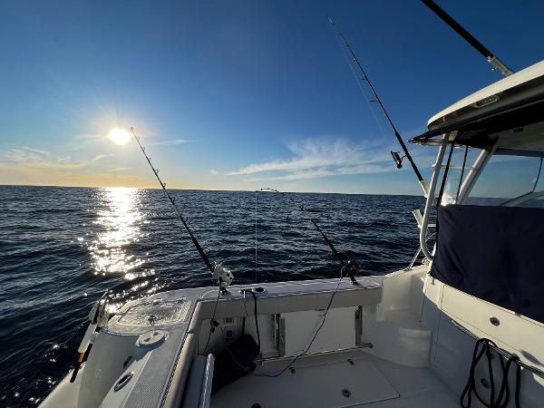31' Boston Whaler, Listing Number 100917660, - Photo No. 18