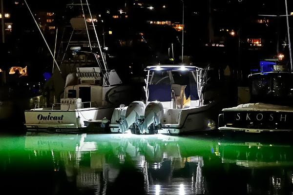 31' Boston Whaler, Listing Number 100917660, - Photo No. 19