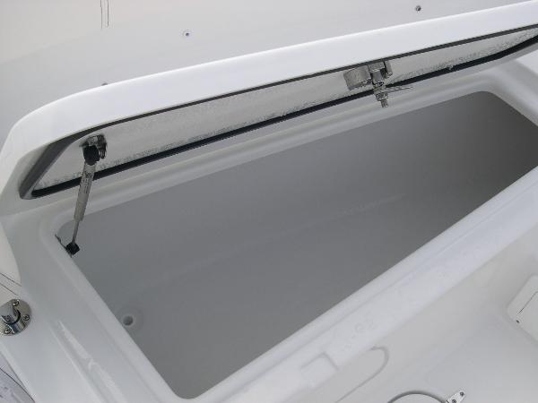 Gamefish 30 Photo 9