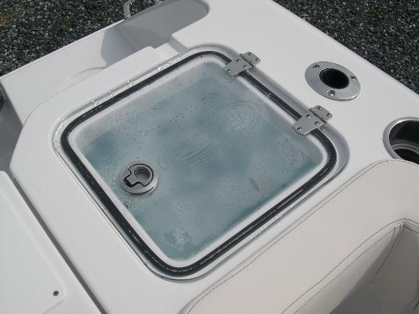 Gamefish 30 Photo 44