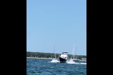 Wilbur 34-FLYBRIDGE video