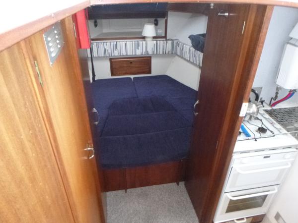 Broom 35 European