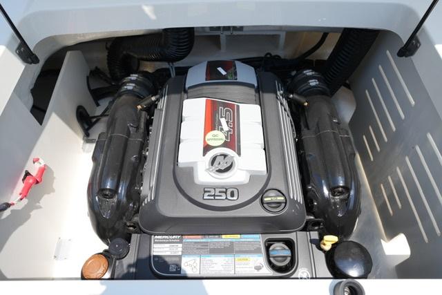 2025-sea-ray-spx-210-power-9829740-20250612091933923-1_XLARGE