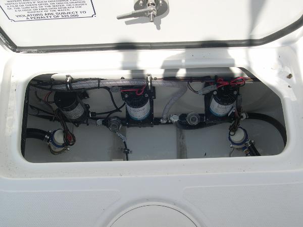 Gamefish 27 Coffin Box Photo 40