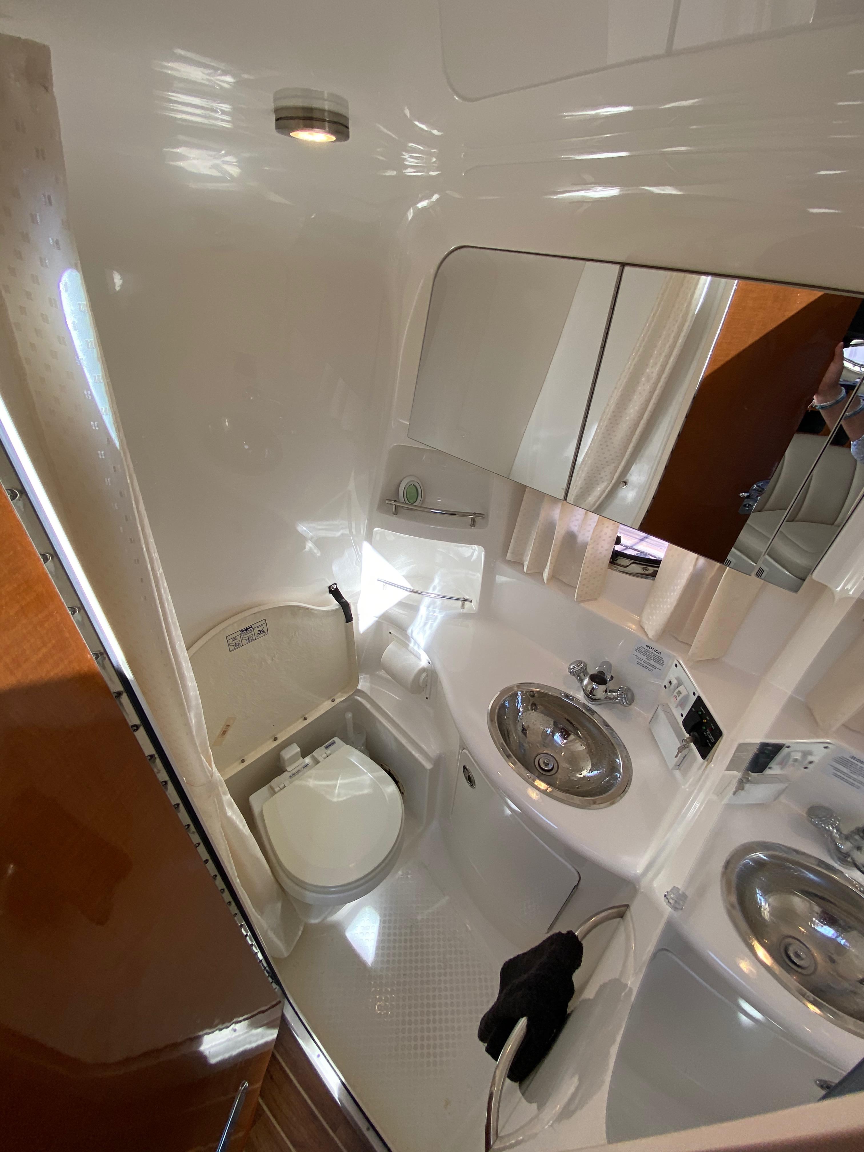 Image [43] of 2008 Chaparral 310 Signature