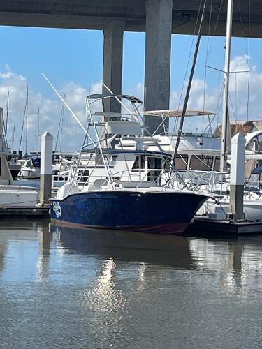 28' Cayman Yachts, Listing Number 100916895, Image No. 1