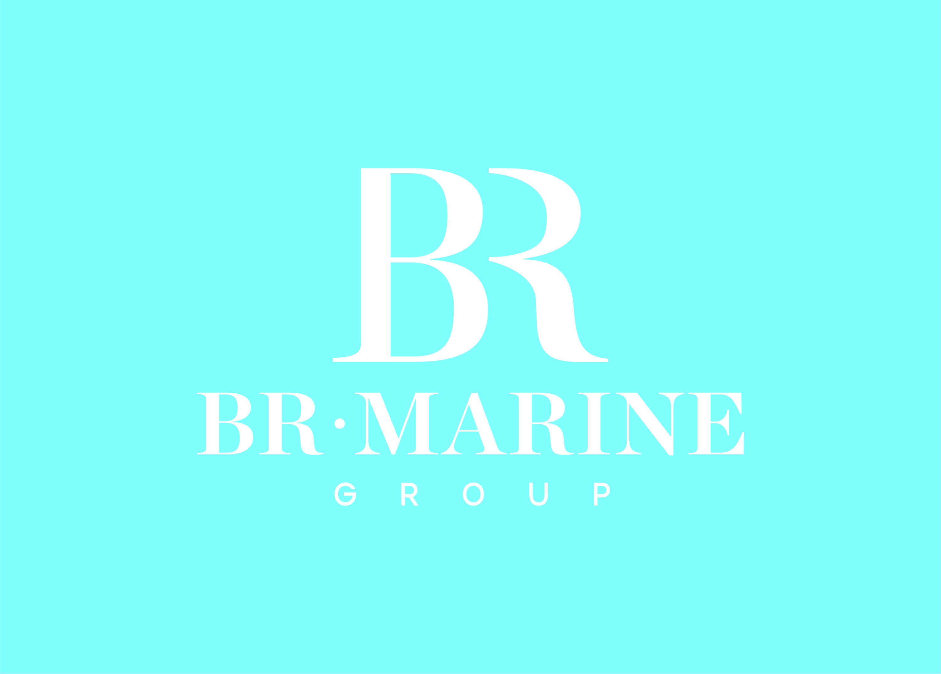 BR Marine Group