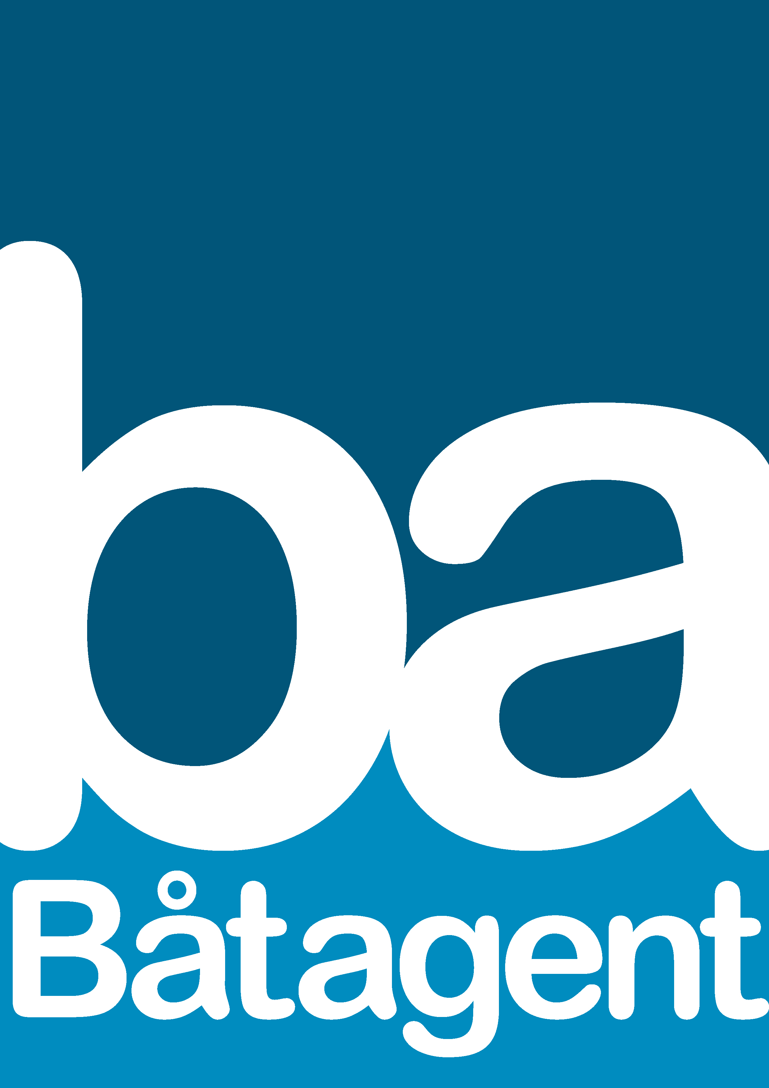Båtagent International AB