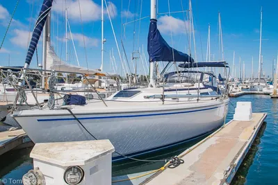 Catalina 36