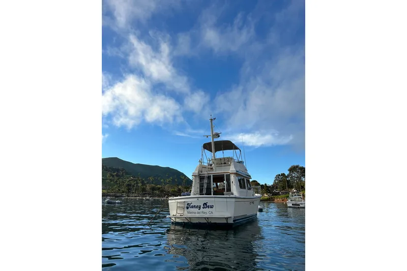 Honey Dew Yacht Photos Pics 2000 Sabre 34 Flybridge boat on calm water under a clear blue sky.