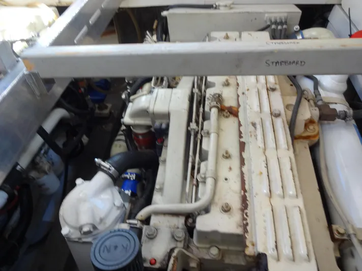 Xtra Cheez Yacht Photos Pics 