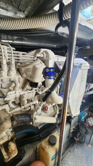 Legacy Yacht Photos Pics 