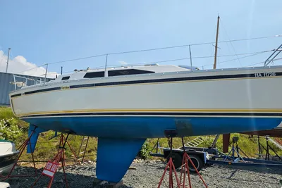 CS 30