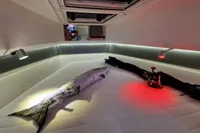 2024 Saxdor 320 GTC cabin with fish and fishing gear under ambient lighting.