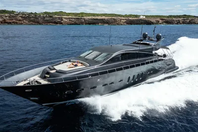 2008 Arno Leopard 31