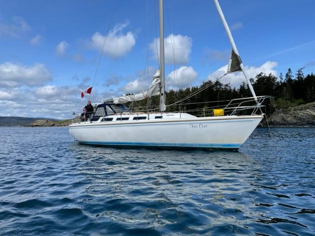 1982 Catalina 36 Sloop for sale - YachtWorld