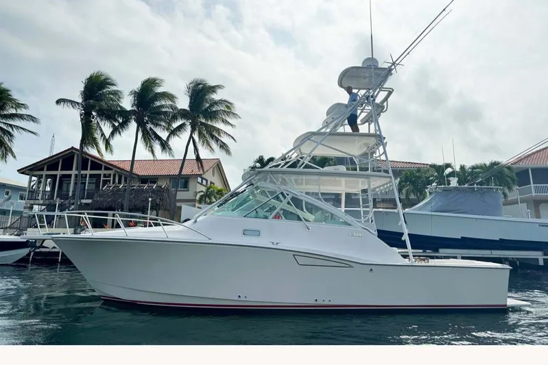 Survivor Yacht Photos Pics 